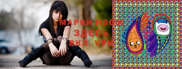 mdpv Снежногорск