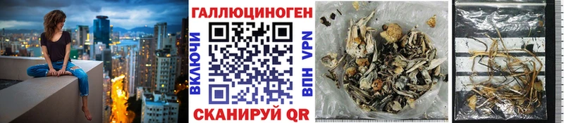 Псилоцибиновые грибы GOLDEN TEACHER  Купить закладки  Ухта 